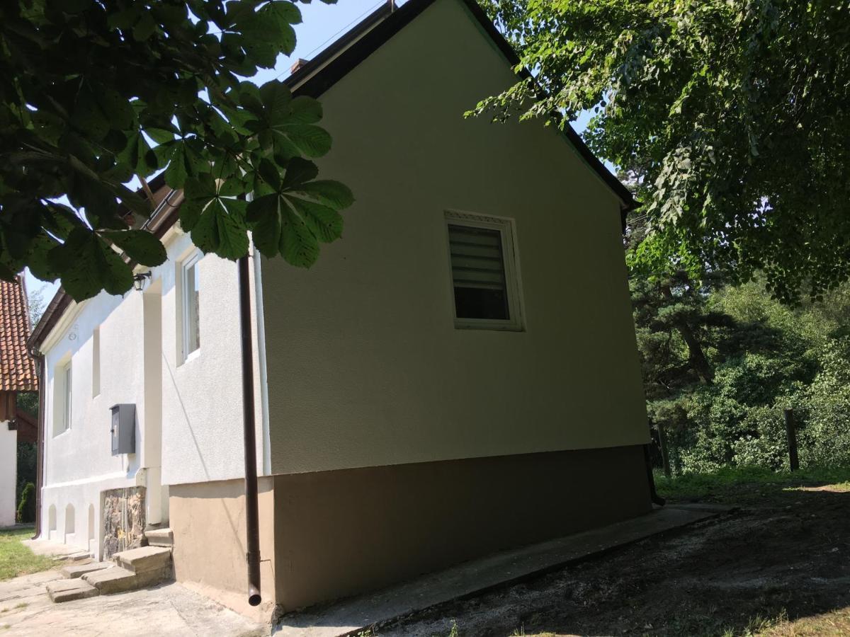 Apartmán I Love Krynica Krynica Morska Exteriér fotografie